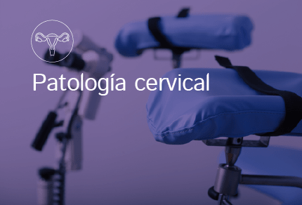Patologia Cervical Fertilidad Embarazo Alto Riesgo 01 Min